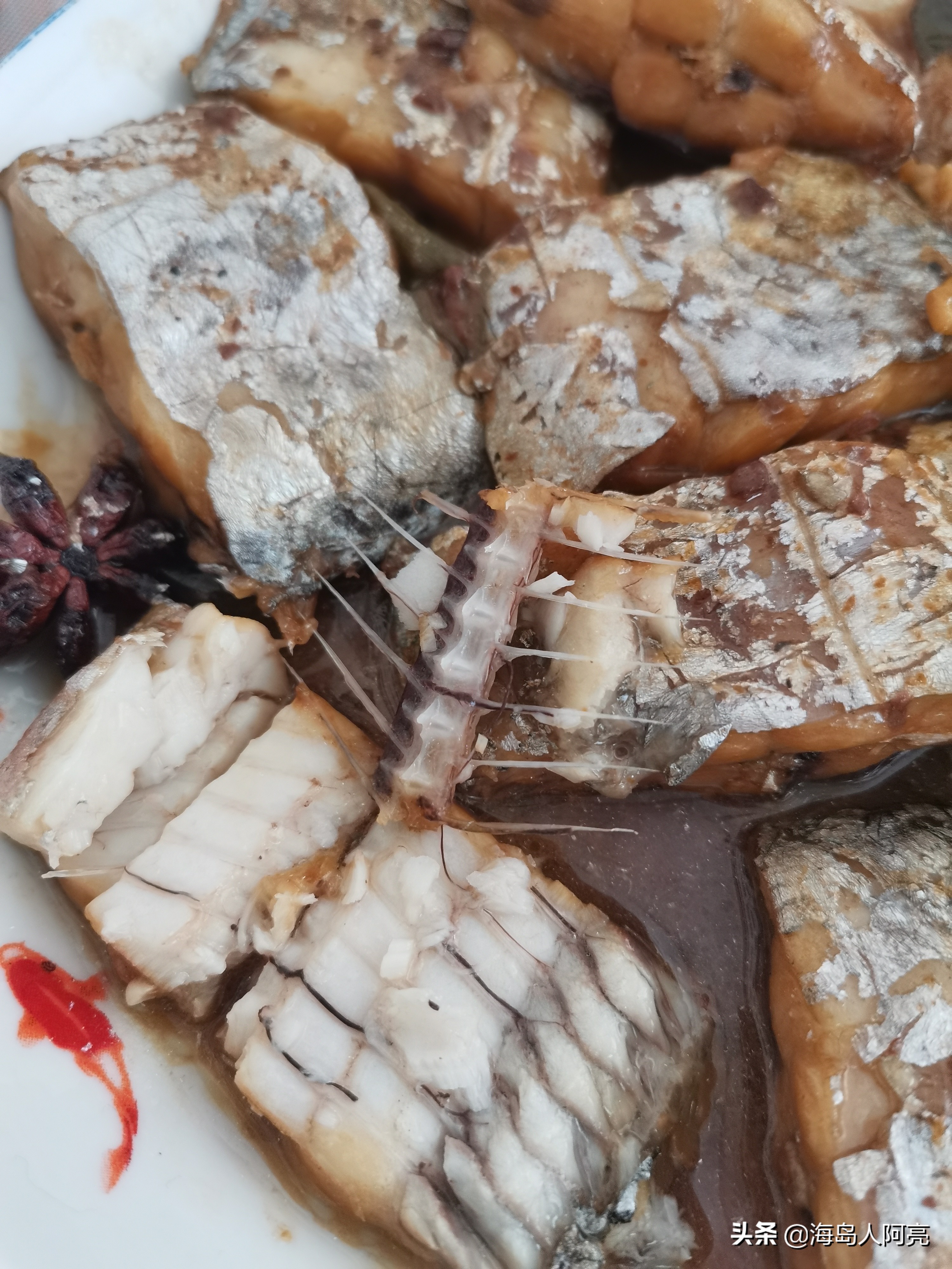 渤海湾带鱼出自哪个省,宁波舟山带鱼有什么区别