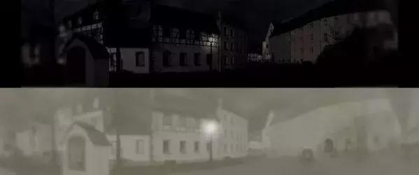 猫咪眼里的世界到底是怎样的,猫咪眼中的世界是什么样子