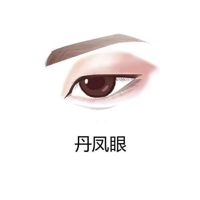 瑞凤眼最漂亮的眼型,各种眼型瑞凤眼