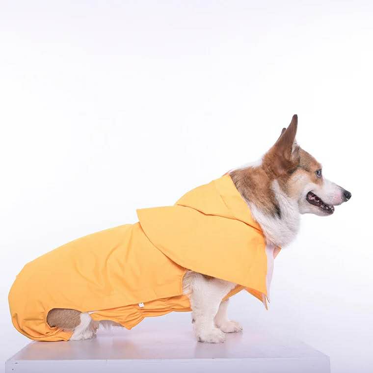 降温神器狗,夏季给狗降温神器