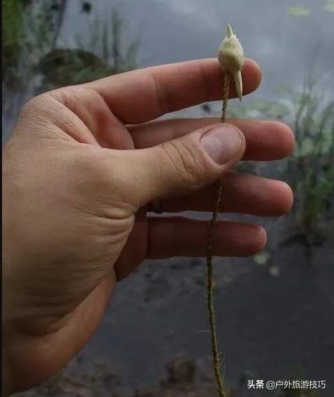 6-12岁自制鱼钩的方法,荒野求生野外自制鱼钩简单的方法