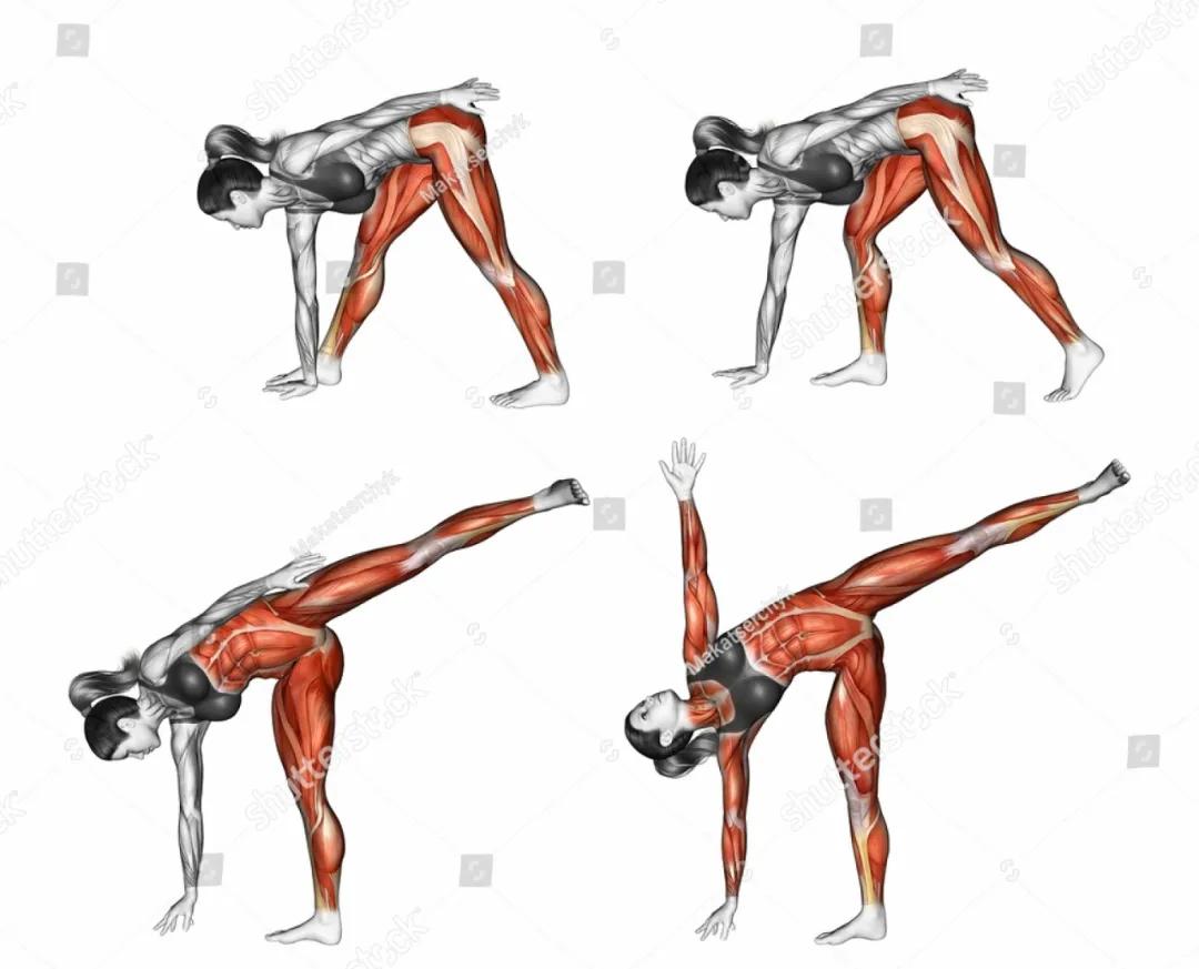 放松肌肉的动作图,各个肌肉的放松方法