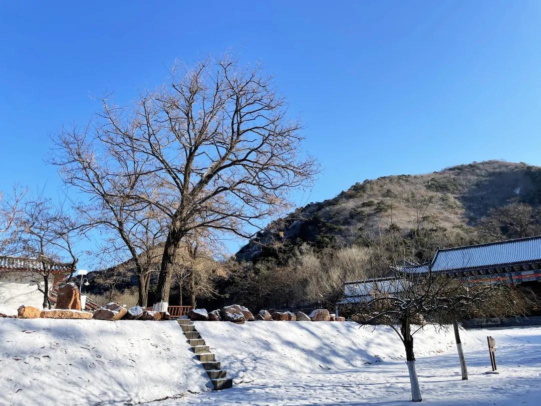 宛如仙境的景点,犹如仙境般的雪景