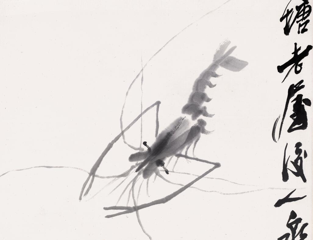 白石老人画虾视频大全,白石老人画虾的感悟