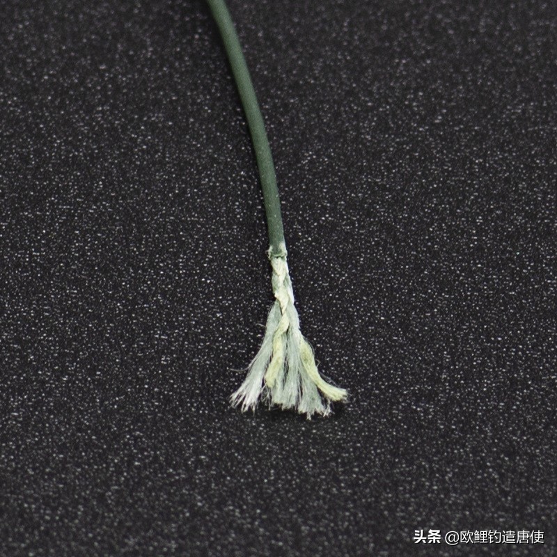 钓鱼也是一种技术,科学钓鱼的基本原理