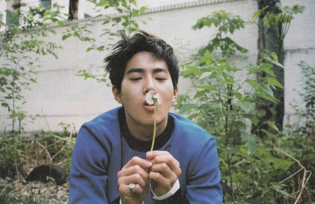 韩娱明星富二代,韩娱出道富二代组合小说