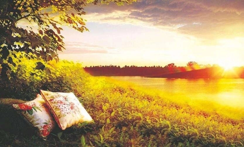 兼职副业怎么防止割韭菜,为了做副业赚钱你有过被割韭菜吗