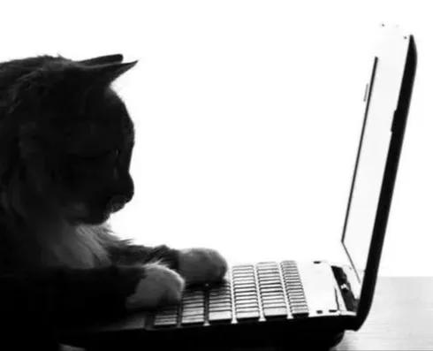 qq被冻结了有没有事,为什么一觉醒来发现qq被冻结了