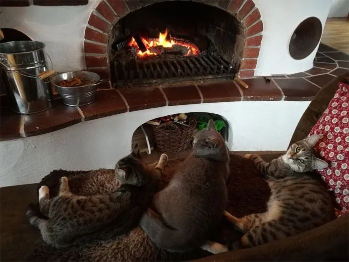 疫情期间住古堡，国外普通女大学生迅速成百万网红，获千万点赞