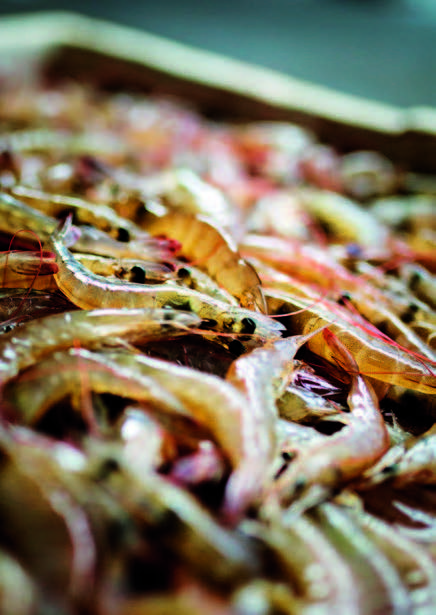 靖江属于广东还是江苏,靖江算不算江南