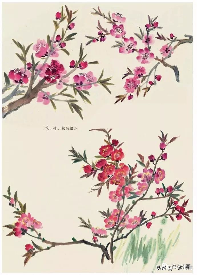 桃花的国画画法,国画桃花树的画法