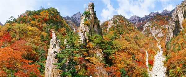 东亚三国的国名英文由来,东亚各国的起源