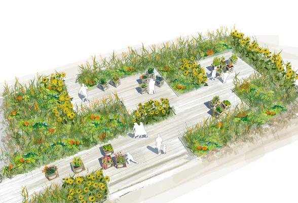 2019鸟瞰图,推荐鸟瞰图