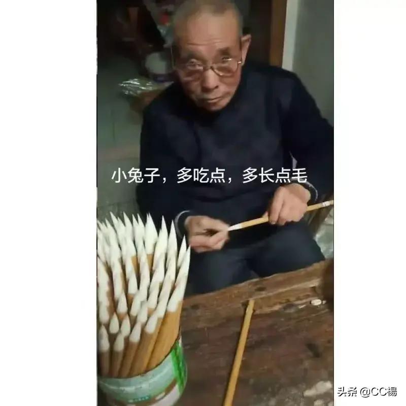 开心一刻小兔请老虎吃饭,开心一刻兔子买萝卜