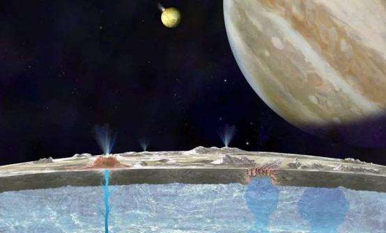 木卫二海里发现章鱼,木卫二的巨型章鱼长什么样子