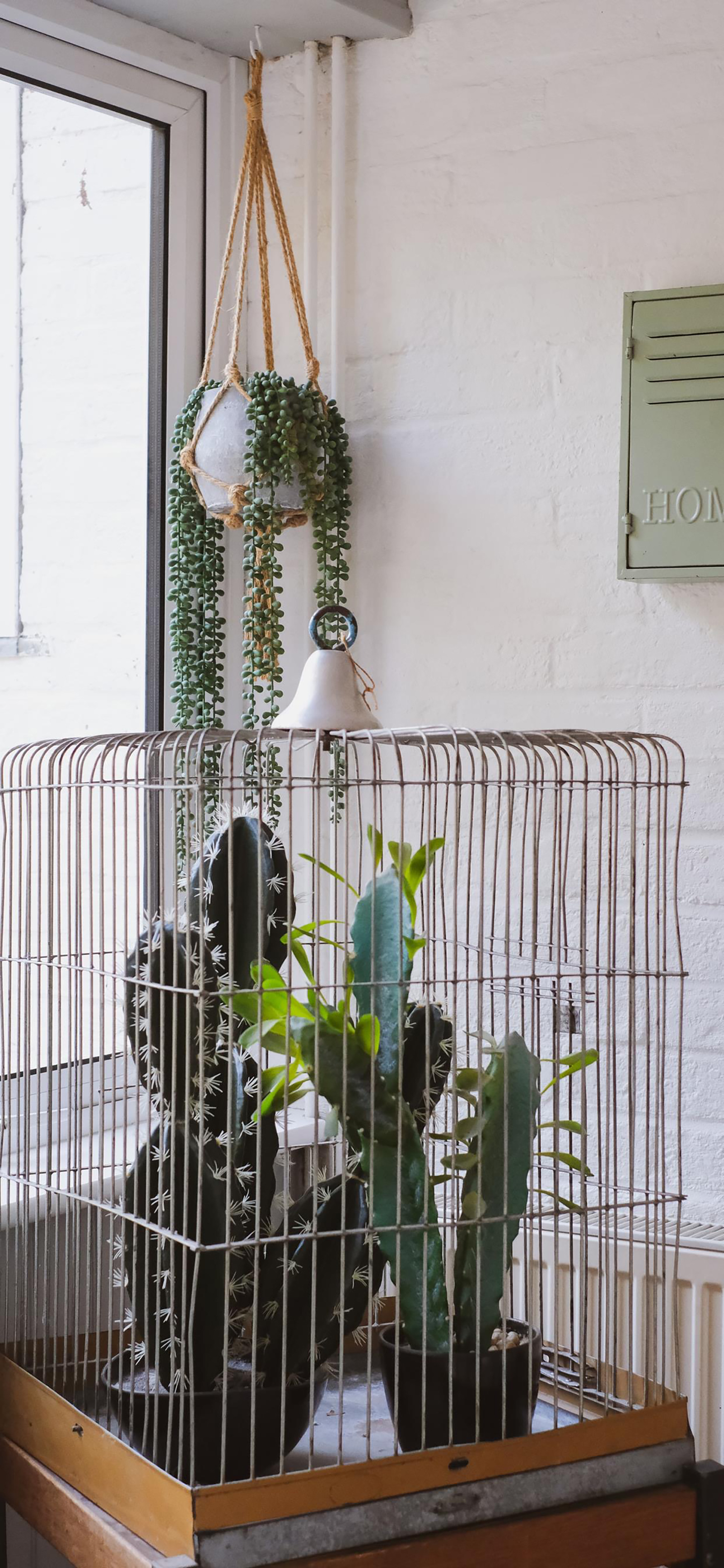 清晰到极致的手机壁纸图片,高清壁纸超清手机壁纸