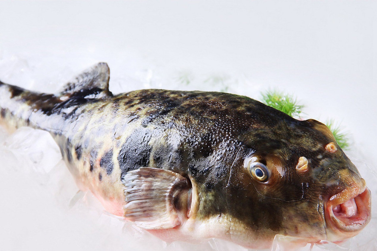 大连长海县海鲜自助,长海县海鲜预订