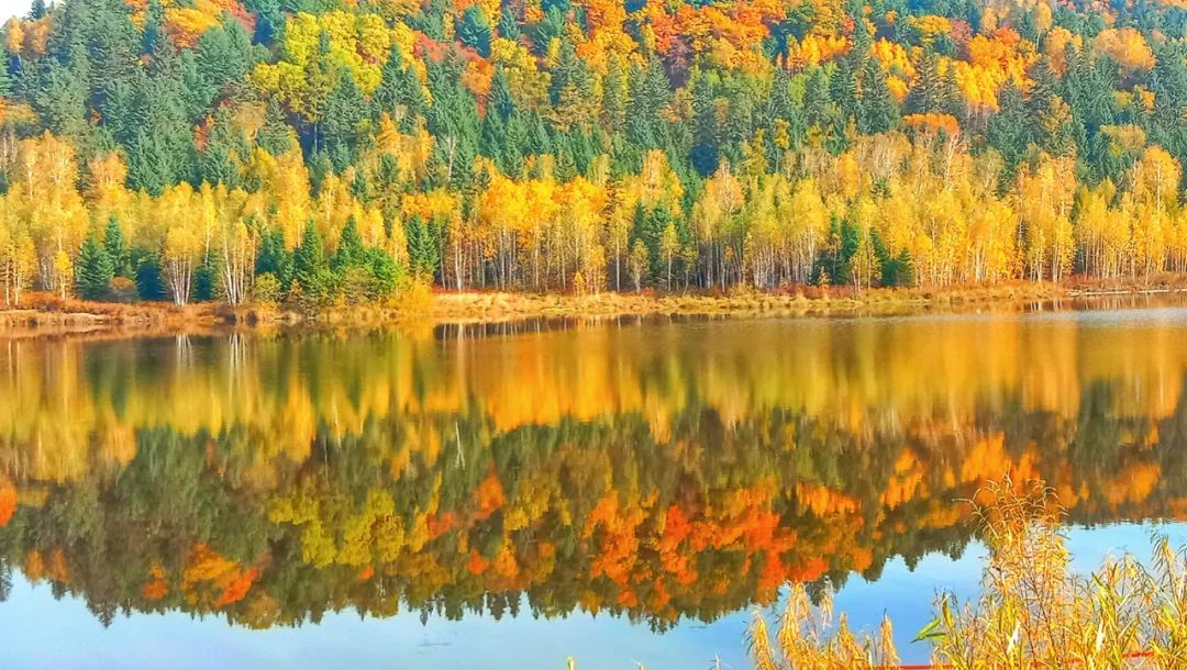 非战斗人员请快速撤离现场原创,非战斗人员请尽快撤离音频