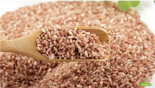 鍏板潽鍗拌薄,鍏板潽涔″湡鍗拌薄