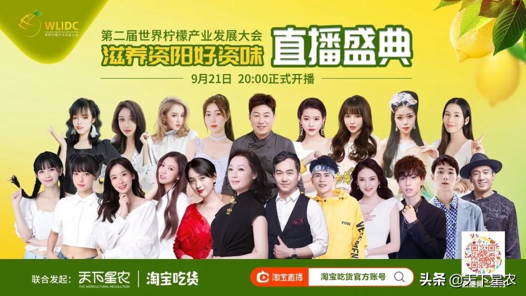 天下星农：如何让一个区域公用品牌市场化？（下篇）