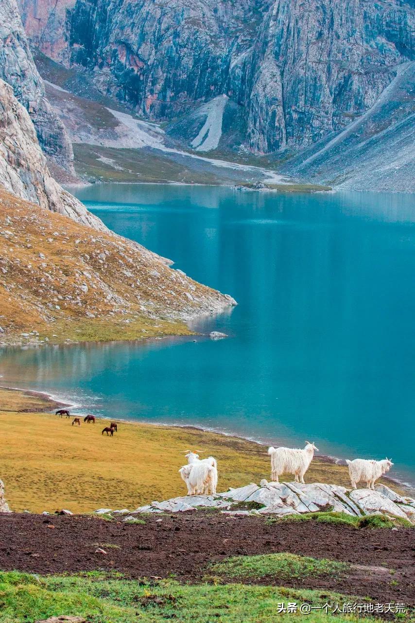 如果你不了解现实你就去看历史,如果你不了解历史就无法展望未来