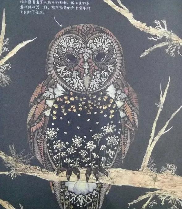 自然博物之旅,自然博物之旅感悟收获