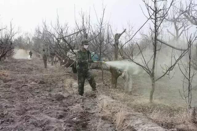 酷似酱油不是酱油，虽然古老但杀虫灭菌都不落后，替都替不了