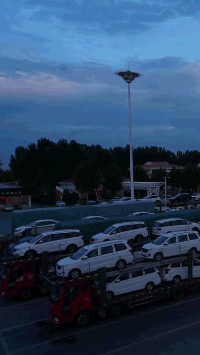 原阳服务区网红,原阳最新网红