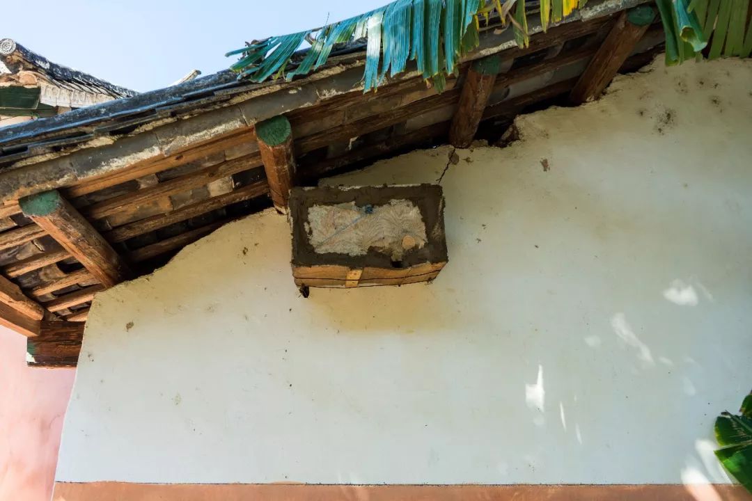 土蜂蜜取蜜全过程,土蜂蜜正确取蜜方法