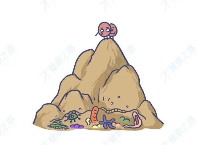 女性前庭大腺发炎怎么办,女前庭大腺炎的症状表现