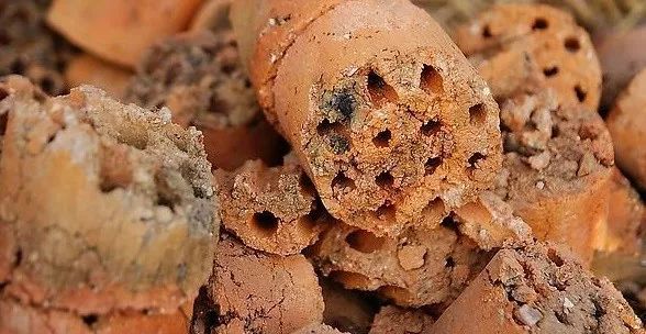 多肉变废为宝方法,废物利用养多肉