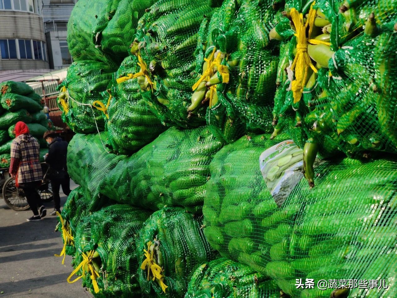 今日上海江桥带壳鲜蚕豆批发价,上海江桥蔬菜批发市场运输蚕豆