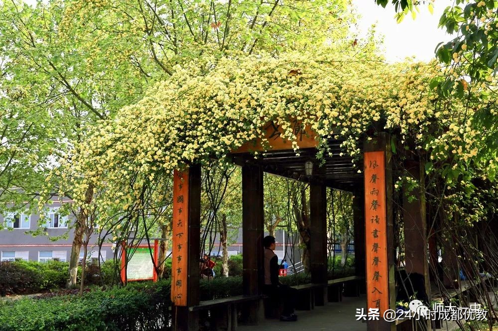 成都锦江师大一中,师大一中锦江学生