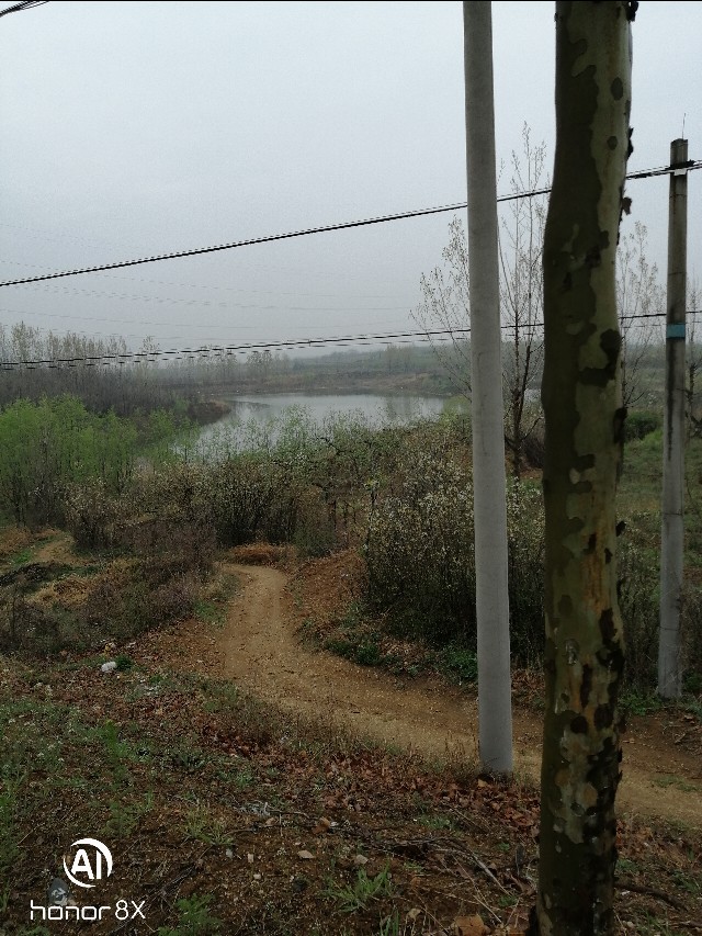 招远市老南乡风俗,招远老南乡习俗