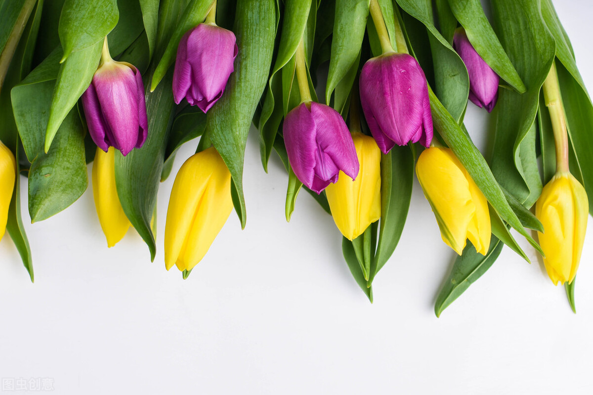 一本书改变了我的命运,一本书改变认知