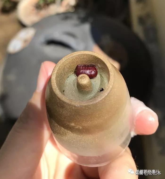 不知道的奇怪小玩意,奇怪古怪的物件