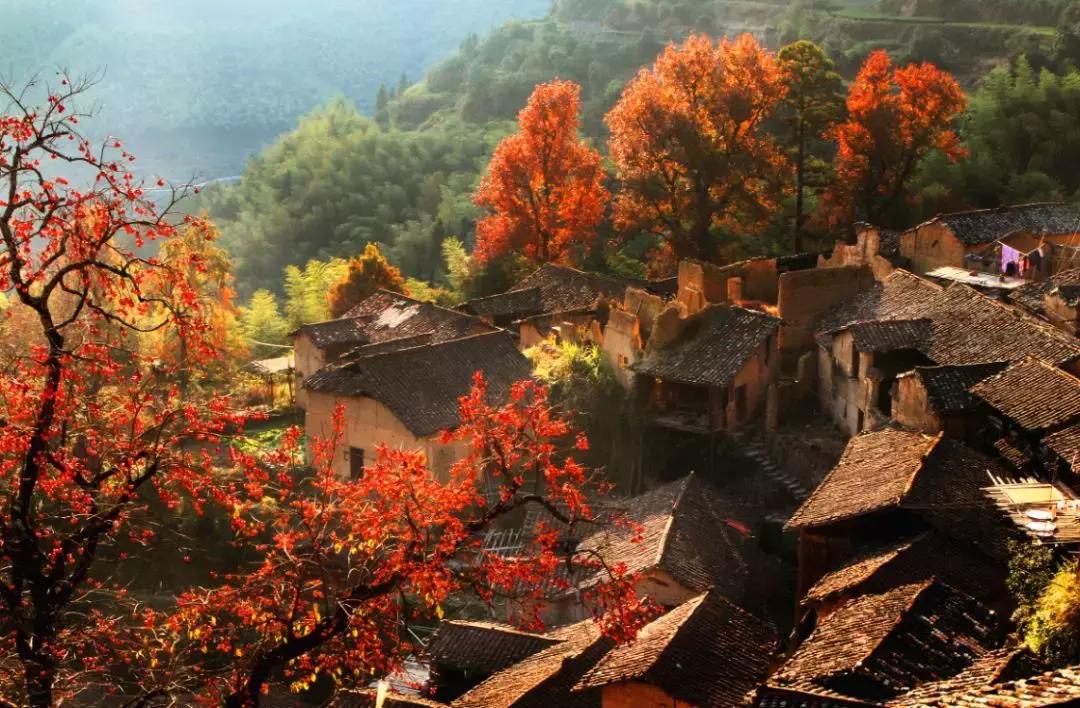 浙江有什么小众景点,绝美浙江小众旅行