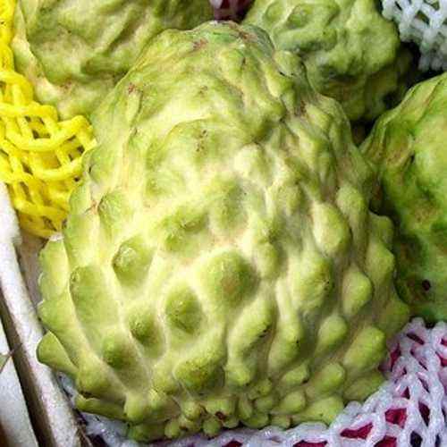 澶х洰鐑甫閲婅喀鏋滅暘鑽旀灊,鐣崝鏋濆拰鑽旀灊鏄竴鏍锋按鏋滃悧