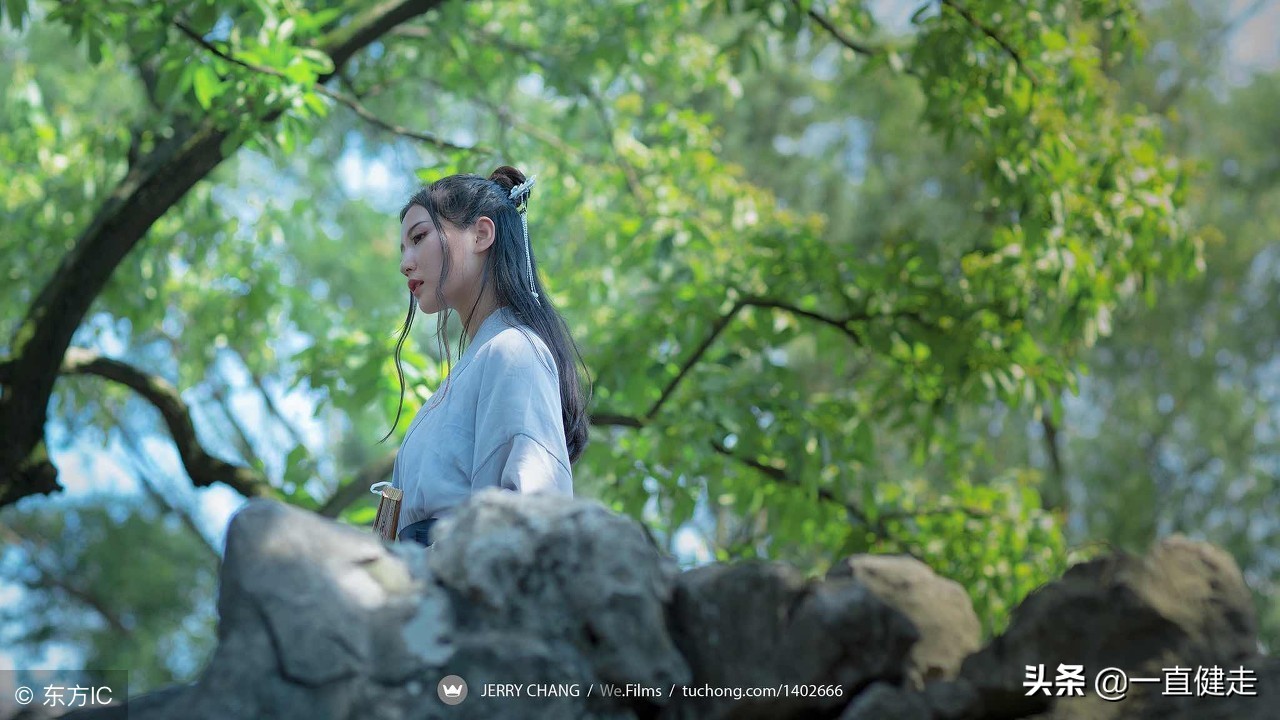 茅塞顿开详解视频,茅塞顿开完整句子