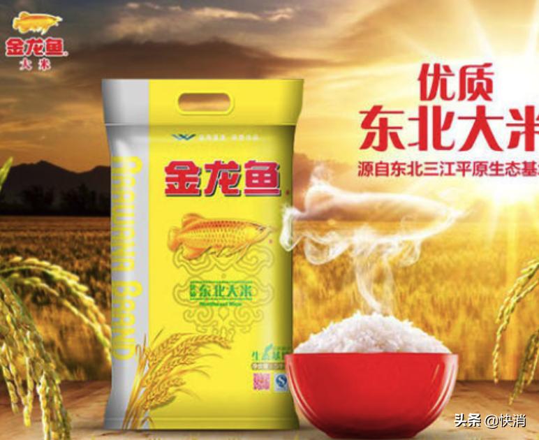 金龙鱼三季度业绩分析,金龙鱼季报