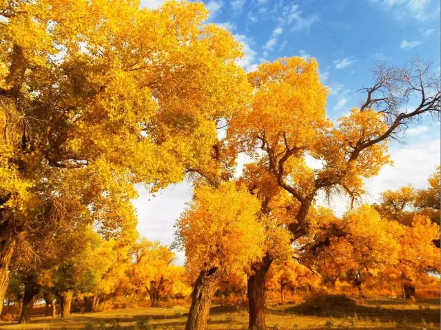 为什么新疆买东西不包邮,为啥买东西新疆永远不包邮