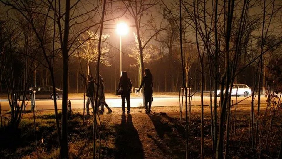 巴黎布洛涅森林公园的夜晚,巴黎布洛涅公园