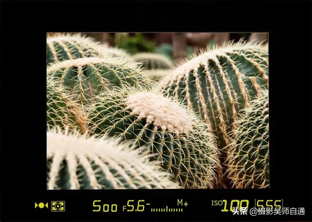 相机有哪些实用功能,相机的三大基本功能