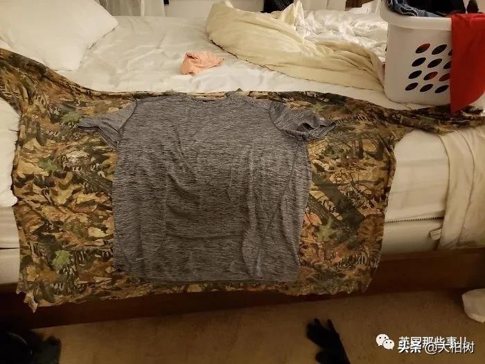 蓝鲸到底有多大,直观感受蓝鲸有多大