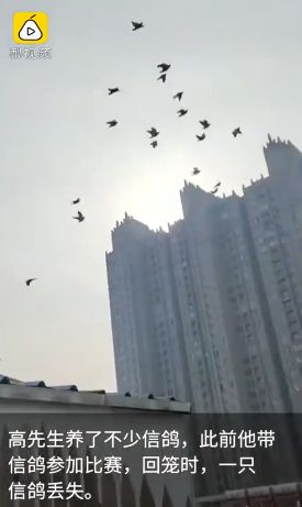 诱骗16岁女孩去ktv上班犯罪,14岁少女被骗ktv