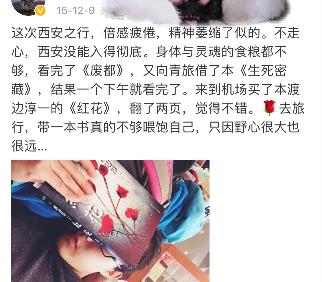 西安白鹿仓景区攻略,西安白鹿仓旅游风景区怎么样