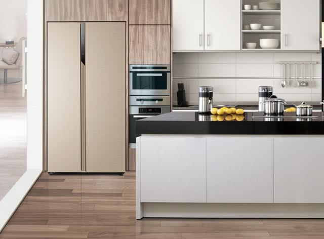 大冰箱选哪款比较实用的,冰箱功能全的大冰箱推荐