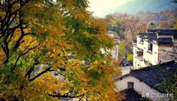 安徽旅行必去的10大景点,安徽旅行攻略必去十大景点