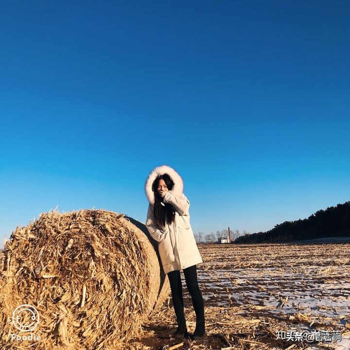 在东北吃饭是一种什么体验,跟东北人吃饭是什么体验