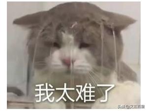 空瓶记雪花秀,空瓶雅诗兰黛